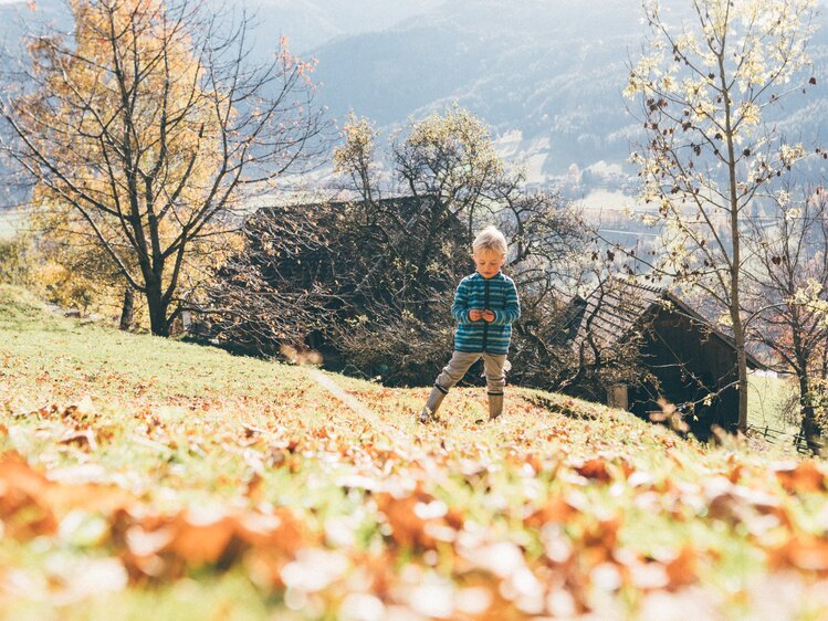 Bub steht im Laub | © Urlaub am Bauernhof Kärnten / Daniel Gollner