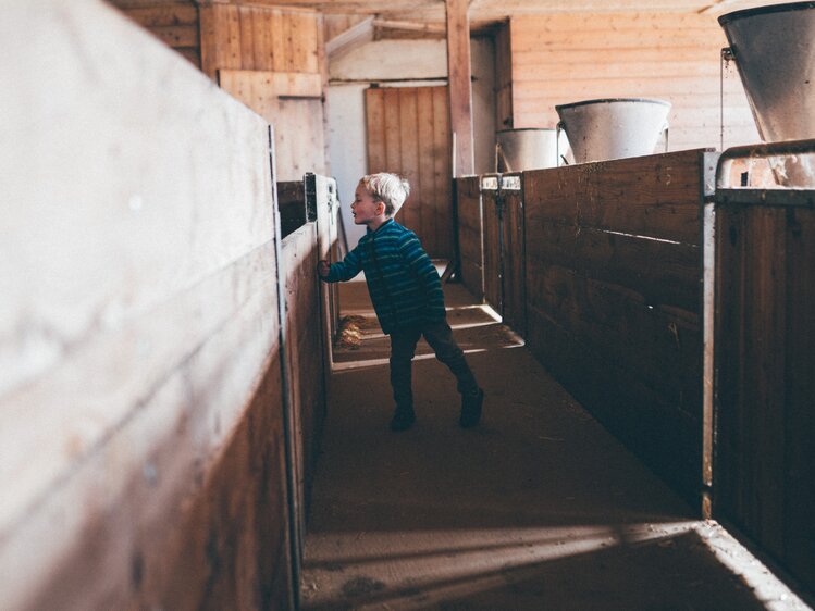Bub schaut im Stall in die Boxen rein | © Urlaub am Bauernhof Kärnten / Daniel Gollner