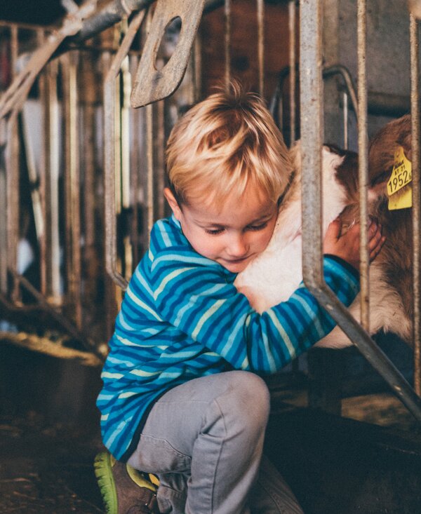 Bub kuschelt mit dem Kalb im Stall | © Urlaub am Bauernhof Kärnten / Daniel Gollner
