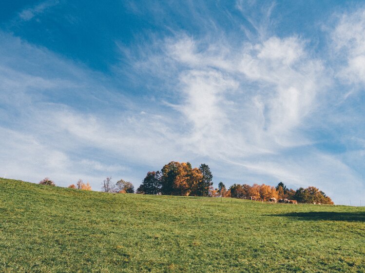 Landschaft | © Urlaub am Bauernhof Kärnten / Daniel Gollner