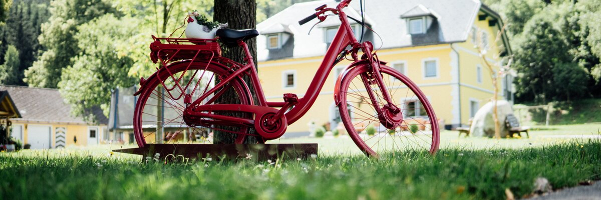 Rotes Fahrrad an den Baum gelehnt | © Urlaub am Bauernhof Kärnten / Daniel Gollner