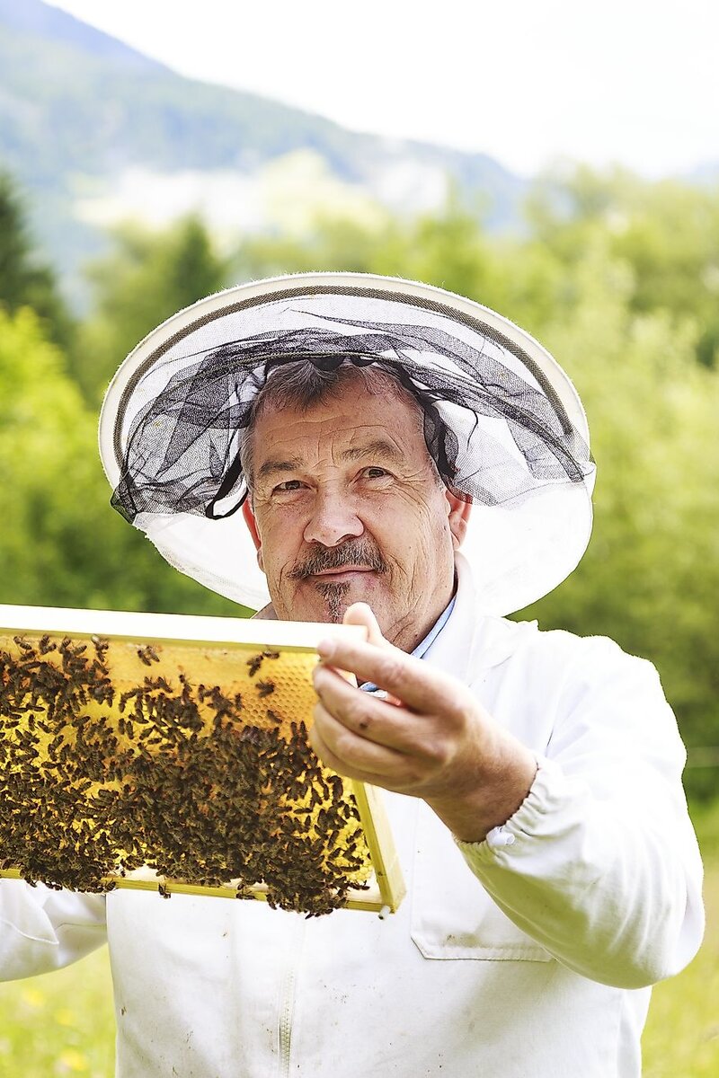 Slow Food Kärnten Honig | © Wolfgang Hummer / Slow Food Travel Alpe Adria Kärnten