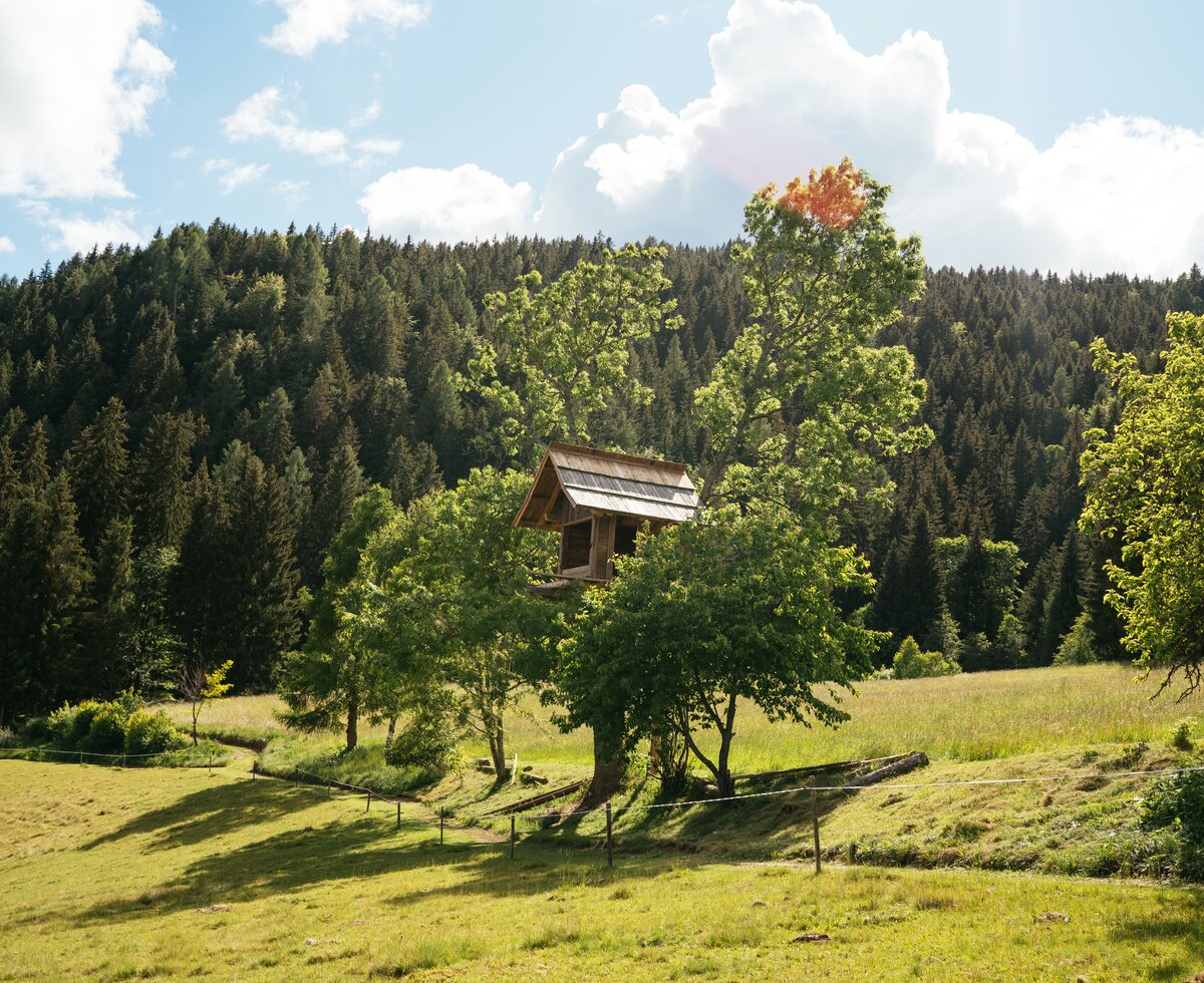 Baumhaus am Natur Gut Lassen | © Urlaub am Bauernhof Kärnten / Daniel Gollner Das Baumhaus am Natur Gut Lassen Gelände | © Urlaub am Bauernhof Kärnten / Daniel Gollner