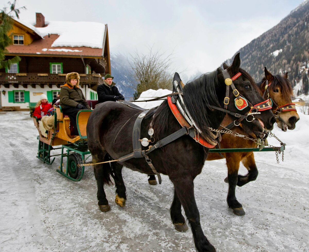 Horse sledge in winter | © Tom Lamm / Urlaub am Bauernhof Kärnten Unterwegs mit dem Pferdeschlitten | © Tom Lamm / Urlaub am Bauernhof Kärnten