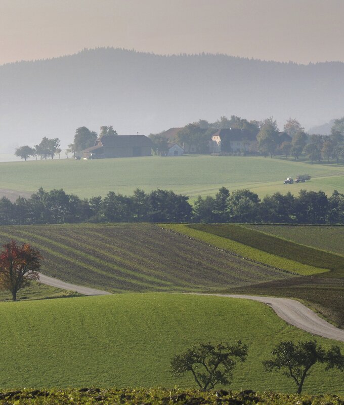 Landchaft im Herbst in Haag am Hausruck, Innviertel-Hausruckwald | © Oberösterreich Tourismus GmbH / Andreas Röbl