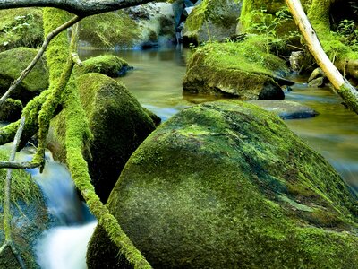 Mystischer Wald im Mühlviertel | © Oberösterreich Tourismus GmbH / Hermann Erber Mystischer Wald mit grünen, moosbewachsenen Granitfelsen und einem Waldbach, Mühlviertel | © Oberösterreich Tourismus GmbH / Hermann Erber