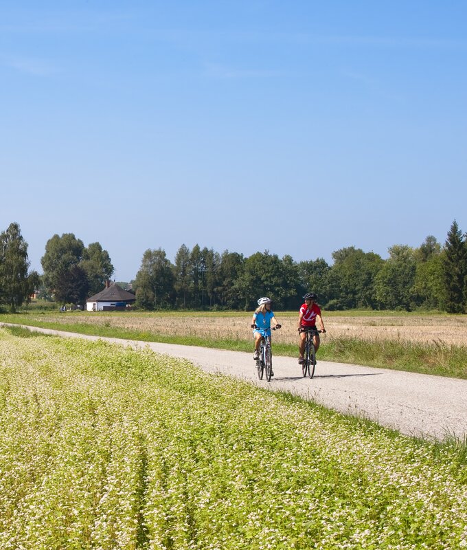 Zwei Radler auf dem Römerradweg, Zentralraum | © Oberösterreich Tourismus GmbH / Hermann Erber