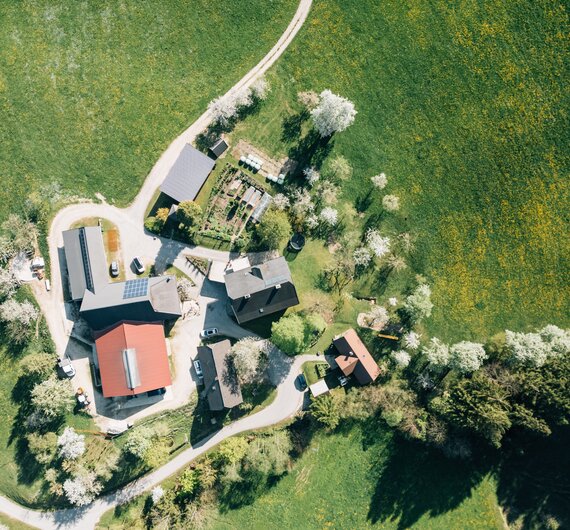 Aerial view of a rural residential area surrounded by lush green meadows, with scattered houses, trees, and a winding road. | © Urlaub am Bauernhof / Daniel Gollner 