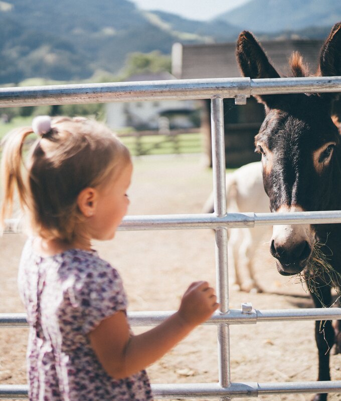 Girl in floral dress looking at a donkey behind a metal fence on a rural farm with mountains in the background. | © Urlaub am Bauernhof / Daniel Gollner