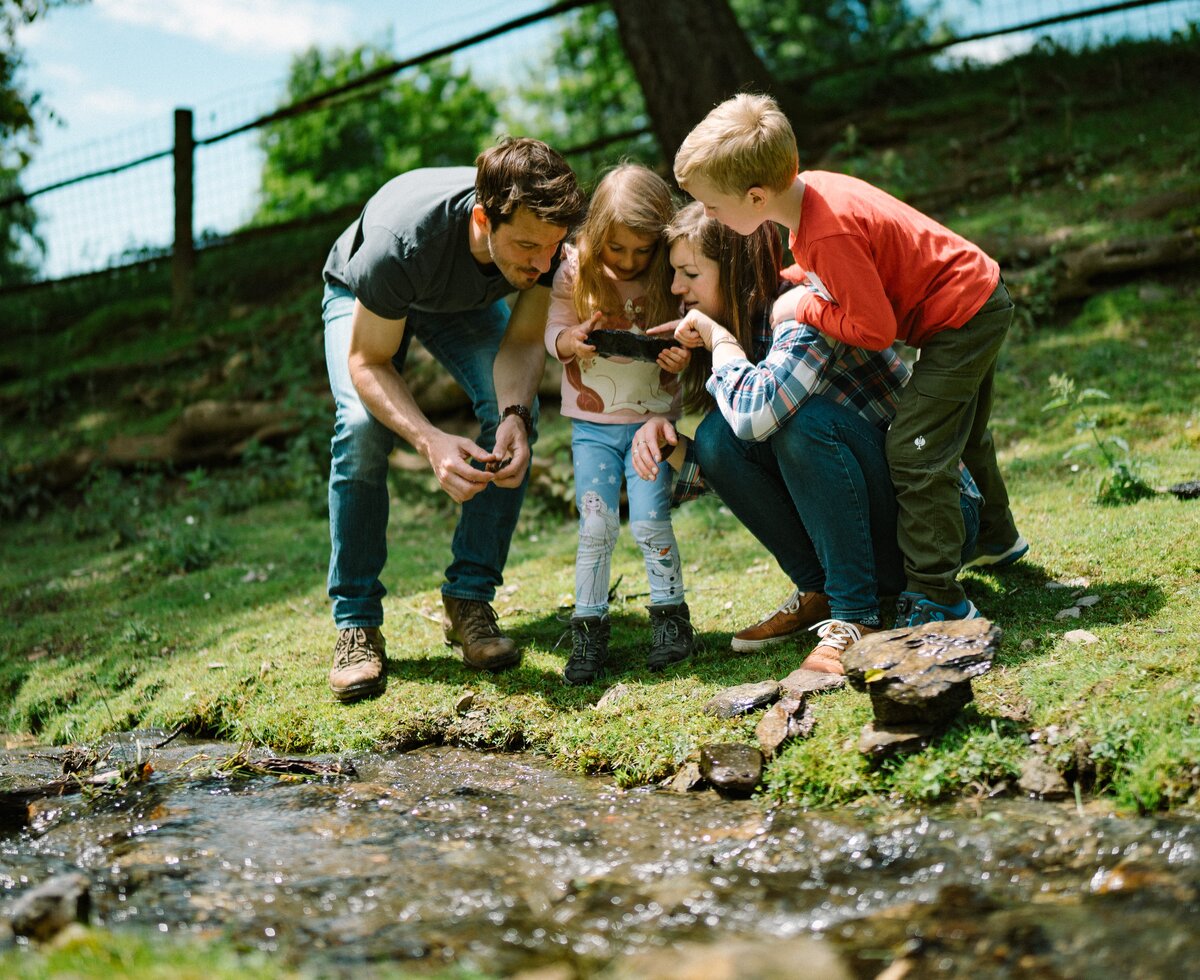 Four people, two adults and two children, examining something on the ground near a stream in a forested, natural setting. | © Urlaub am Bauernhof / Daniel Gollner 