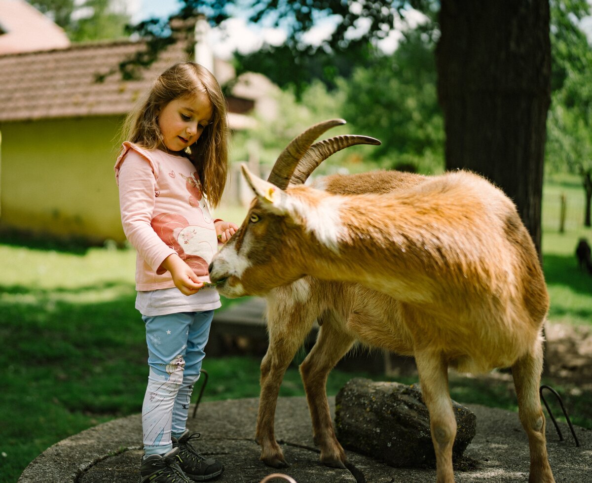 Young girl interacting with a brown goat in a lush outdoor setting with trees and a building in the background. | © Urlaub am Bauernhof / Daniel Gollner 