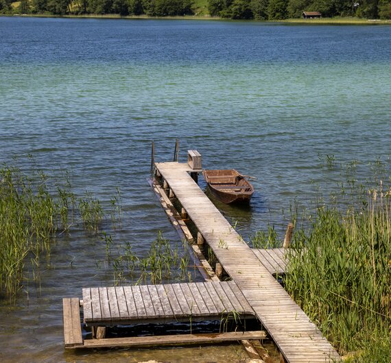 Wooden dock leading to a small boat on a tranquil lake surrounded by lush green foliage and mountains in the distance. | © Urlaub am Bauernhof Österreich / Bernd Suppan