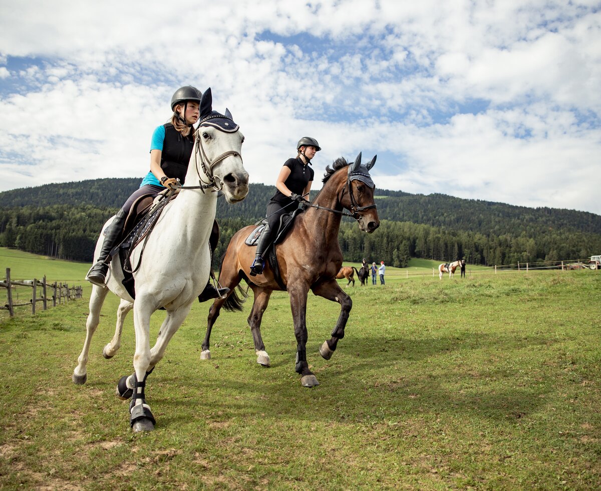 Ausritt im Gelände am Pferdehof Stockner | © Urlaub am Bauernhof Österreich / Andreas Hofer Ausritt im Gelände am Pferdehof Stockner auf der Teichalm in der Steiermark | © Urlaub am Bauernhof Österreich / Andreas Hofer