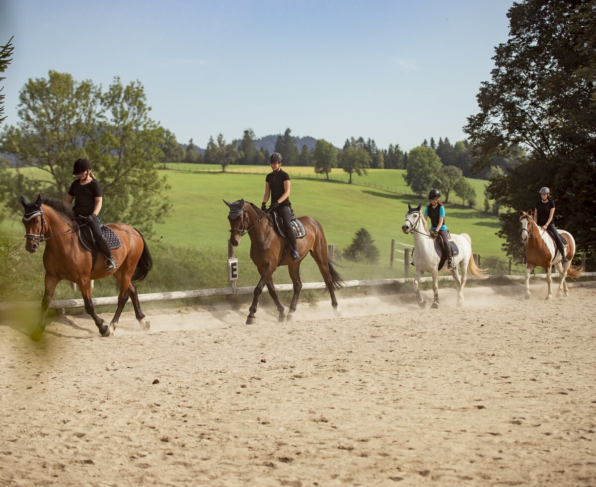 Reiterinnen am Reitplatz | © Urlaub am Bauernhof Österreich / Andreas Hofer Reiterinnen am Reitplatz am Pferdehof Stockner auf der Teichalm | © Urlaub am Bauernhof Österreich / Andreas Hofer