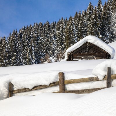 Snow-covered log cabin nestled among tall pine trees, with a wooden fence in the foreground blanketed in white. | © Urlaub am Bauernhof / Bernd Suppan