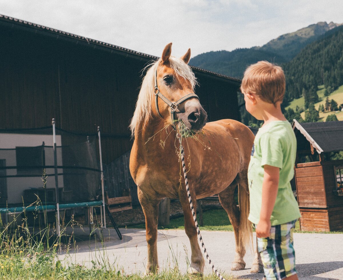 Bub mit Pferd, Schwabhof in Kleinarl, Salzburger Land | © Urlaub am Bauernhof Salzburger Land / Daniel Gollner Bub mit Pferd, Schwabhof in Kleinarl, Salzburger Land | © Urlaub am Bauernhof Salzburger Land / Daniel Gollner