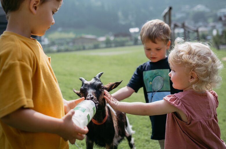 Kinder streicheln und fuettern Ziege | © Urlaub am Bauernhof/ Nadja Jabli