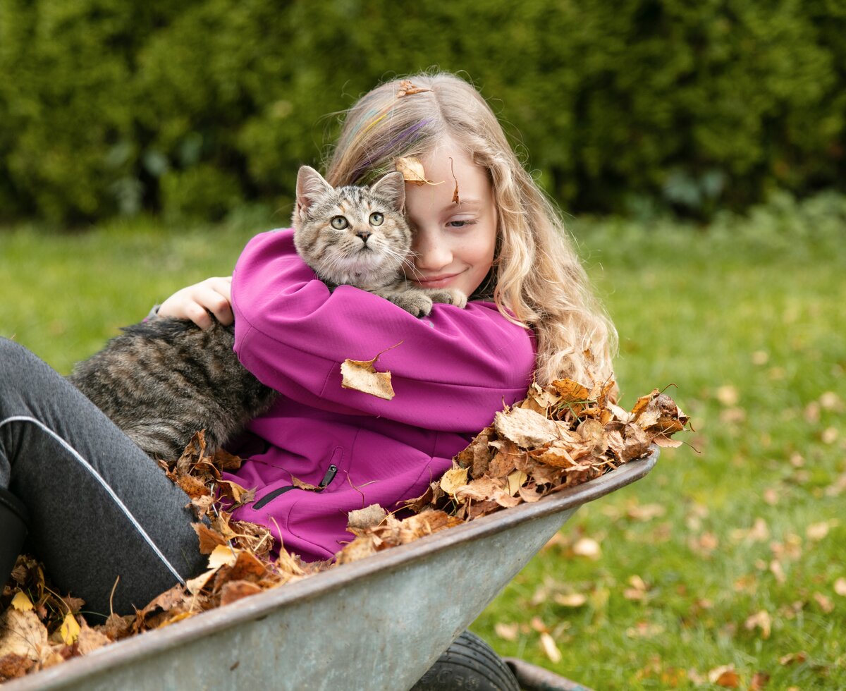Mädchen kuschelt mit Katze am Arnoldgut in Radstadt, SalzburgerLand | © Urlaub am Bauernhof / Punkt & Komma Mädchen kuschelt mit Katze am Arnoldgut in Radstadt, SalzburgerLand | © Urlaub am Bauernhof / Punkt & Komma