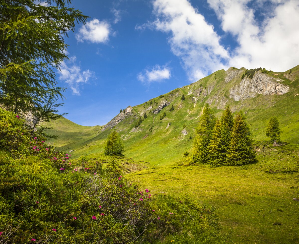 Almboden, Großarltal, Salzburger Land | © Urlaub am Bauernhof SalzburgerLand / Bernd Suppan Almboden, Großarltal, Salzburger Land | © Urlaub am Bauernhof SalzburgerLand / Bernd Suppan
