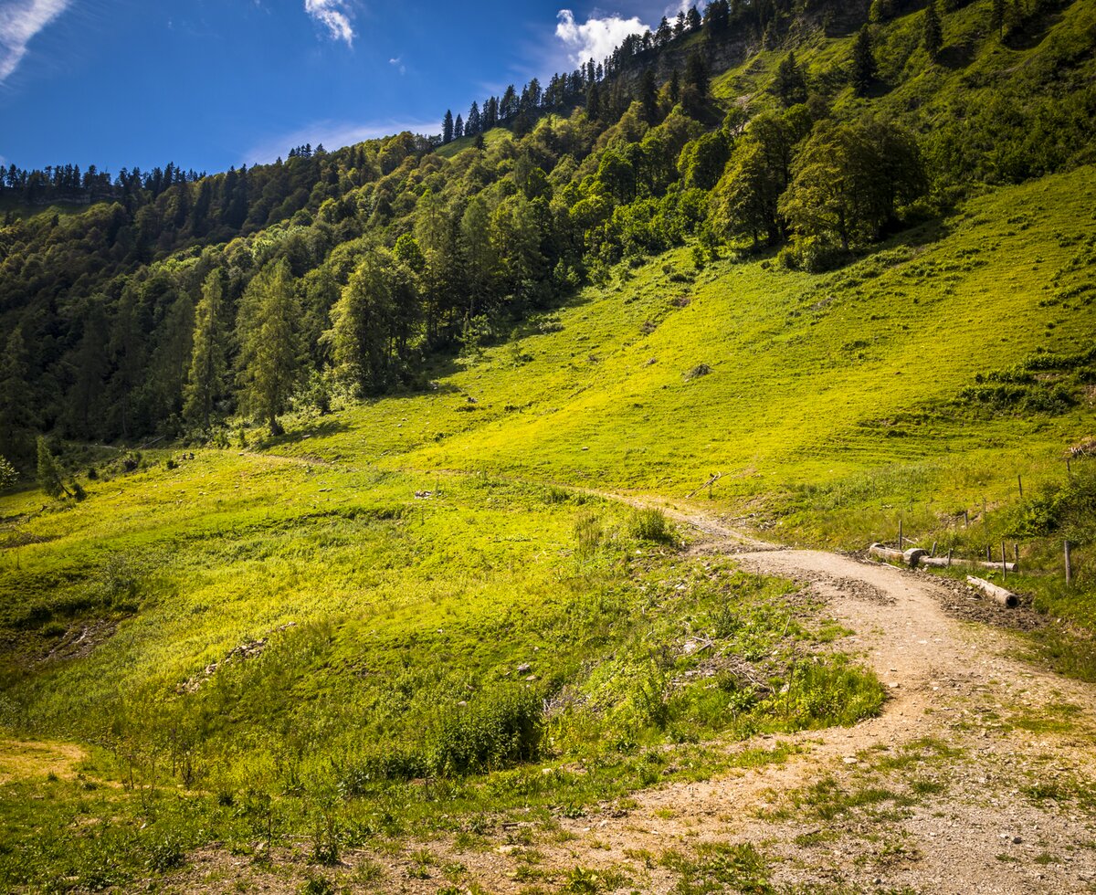 Wanderung auf die Hauserhütte, Flachgau, Salzburger Land | © Urlaub am Bauernhof Salzburger Land / Bernd Suppan Wanderung auf die Hauserhütte, Flachgau, Salzburger Land | © Urlaub am Bauernhof Salzburger Land / Bernd Suppan