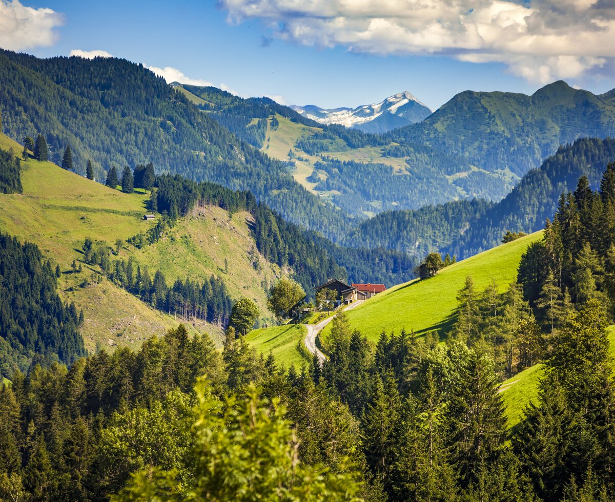 Blick auf das Bergpanorama, Oberdacheben, Pinzgau, Salzburger Land | © Urlaub am Bauernhof Salzburger Land / Bernd Suppan Blick auf das Bergpanorama, Oberdacheben, Pinzgau, Salzburger Land | © Urlaub am Bauernhof Salzburger Land / Bernd Suppan