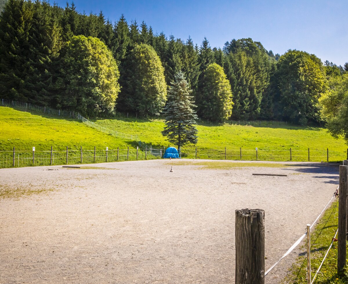 Reitplatz mit wunderschöner Aussicht am Millinghof, Leogang, Salzburger Land | © Urlaub am Bauernhof Salzburger Land / Bernd Suppan Reitplatz mit wunderschöner Aussicht am Millinghof, Leogang, Salzburger Land | © Urlaub am Bauernhof Salzburger Land / Bernd Suppan