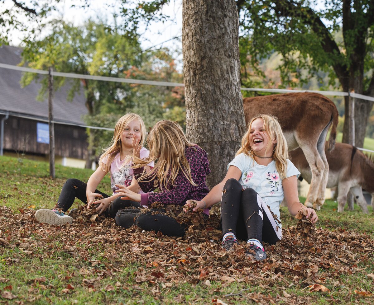 Lachende Kinder sitzen unter dem Baum, Forstbauer, Steiermark | © Urlaub am Bauernhof / Punkt & Komma Ausgelassene Kinder sitzen im Laub unter dem Baum, Forstbauer, Steiermark | © Urlaub am Bauernhof / Punkt & Komma