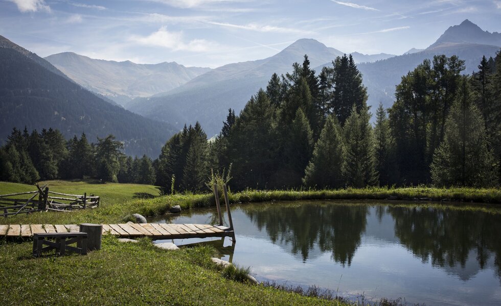 Badeteich | © Urlaub am Bauernhof Tirol