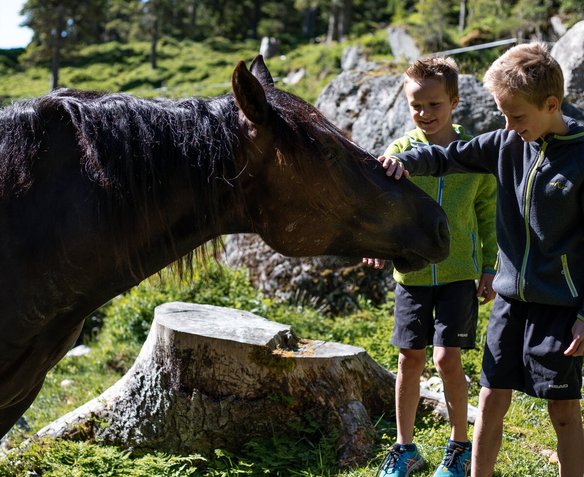 Kinder mit Pferd im Debanttal | © TVB Osttirol/ Assil Hannah Kinder mit Pferd im Debanttal | © TVB Osttirol/ Assil Hannah