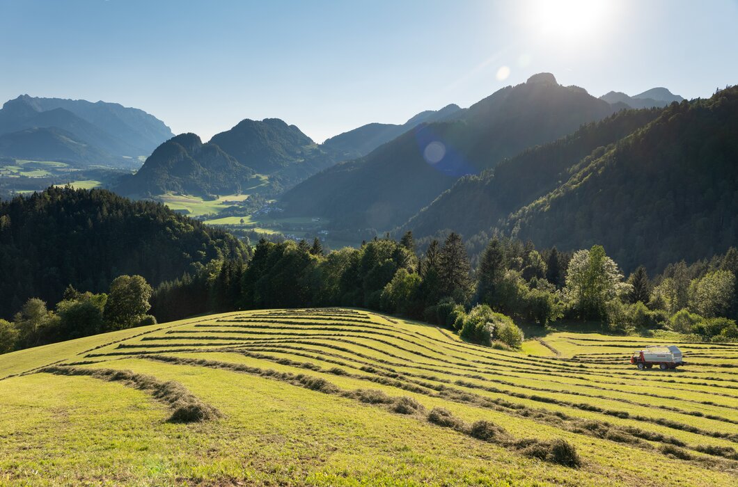 Kaiserwinkl Landschaft Somnmerurlaub | © ©TVB Kaiserwinkl