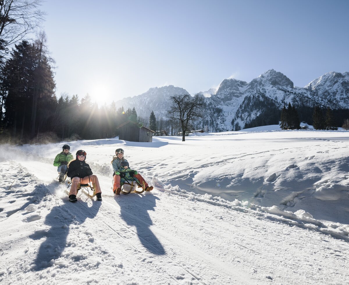 Rodeln Aschinger Alm | © TVB Kufsteinerland/ Max Draeger Rodeln Aschinger Alm | © TVB Kufsteinerland/ Max Draeger