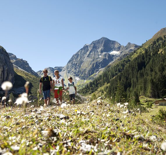 Familienwanderung | © TVB Stubai Tirol/ Andre Schönherr
