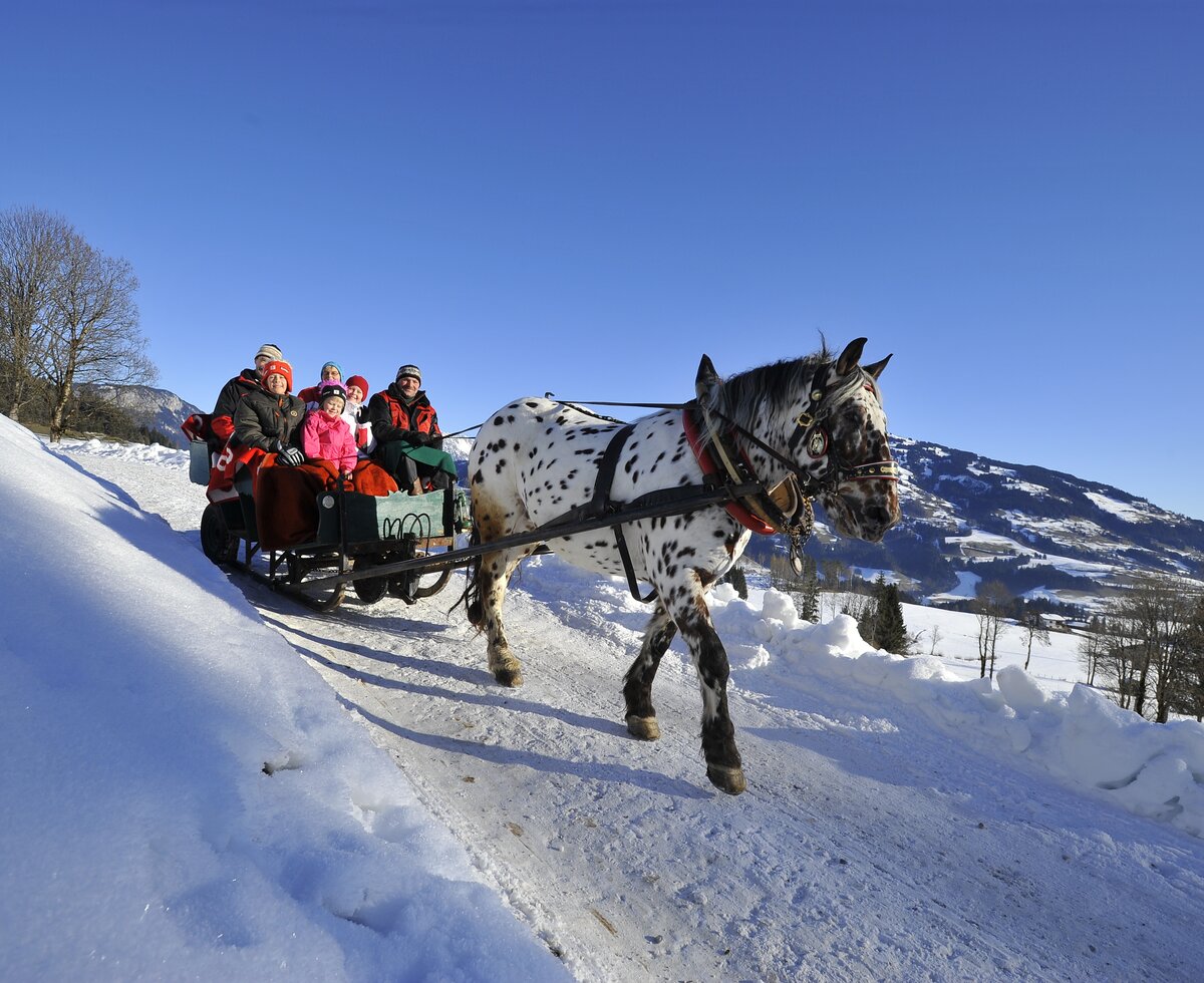 Kutschenfahrt im Winter | © Urlaub am Bauernhof