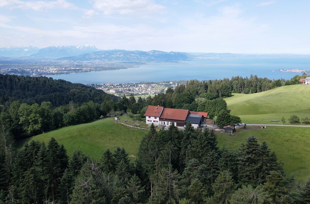Innauer Hof mit Blick auf den Bodensee | © Urlaub am Bauernhof / Daniel Gollner Innauer Hof mit Blick auf den Bodensee | © Urlaub am Bauernhof / Daniel Gollner
