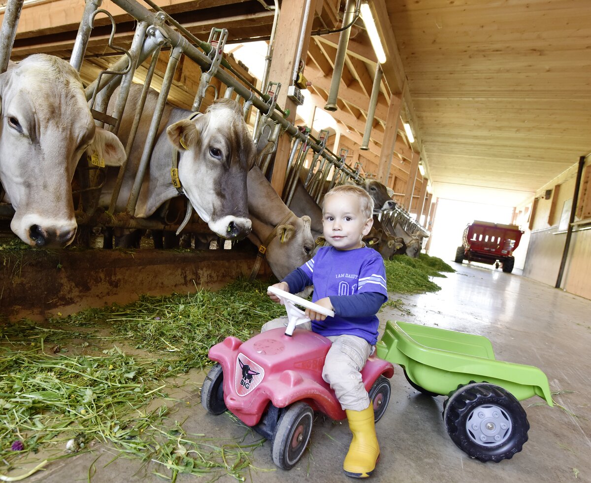 Kleiner Bub mit Traktor | © Urlaub am Bauernhof Vorarlberg / Andreas Kuenk Kleiner Bub mit Traktor und Anhänger im Stall bei den Kühen | © Urlaub am Bauernhof Vorarlberg / Andreas Kuenk