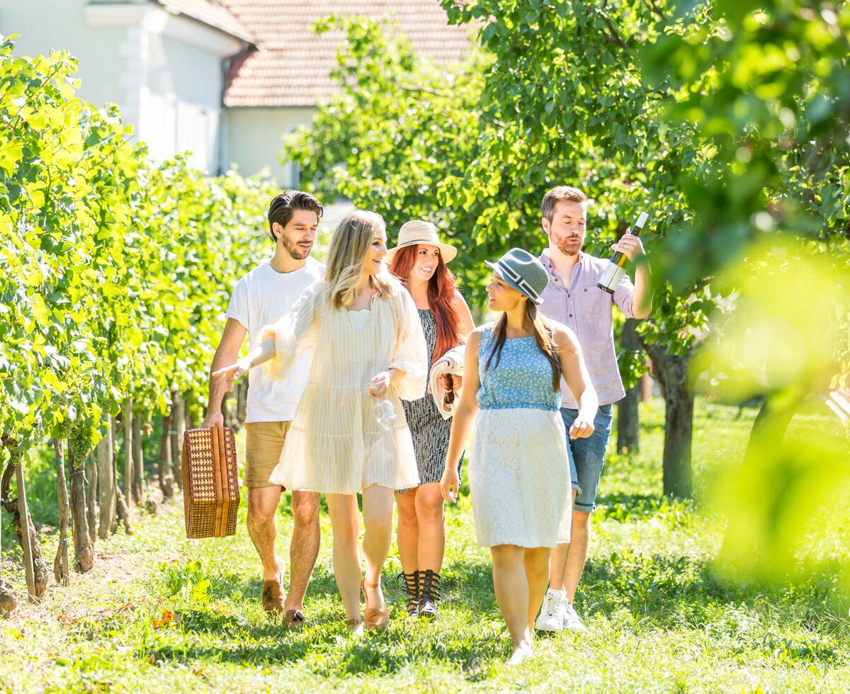 Group of friends strolling through a lush, green vineyard on a sunny day, carrying a picnic basket, enjoying the scenic outdoors.