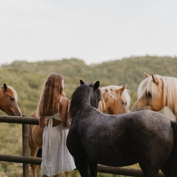 A guest interacting with several horses behind a wooden fence at the Farm House.