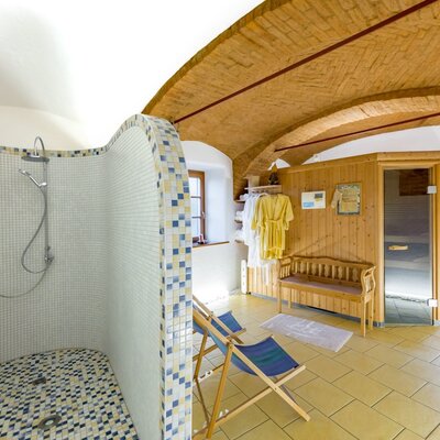 Wellness area in the farmhouse with a brick vaulted ceiling, mosaic-tiled shower, and wooden sauna.