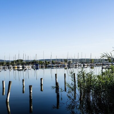 The nearby marina features numerous sailboats docked on the calm water, with reeds in the foreground and distant land visible.