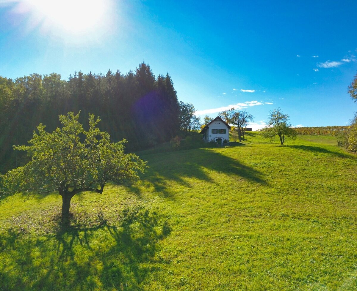 The Farm House is situated on a green hillside, backed by a dense forest, with open grassy areas and scattered trees.