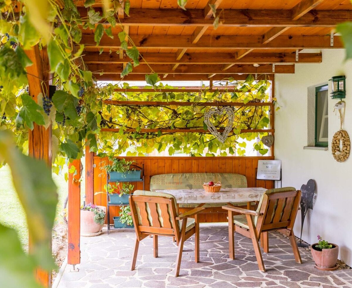 Covered seating area at the farmhouse featuring a table, chairs, and climbing grapevines.