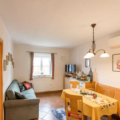 Living and dining area of the farmhouse with a sofa, dining table, and TV.