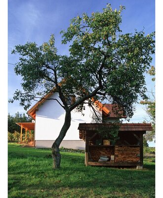 Wooden cabin
