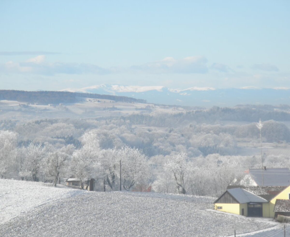 View to Carinthia