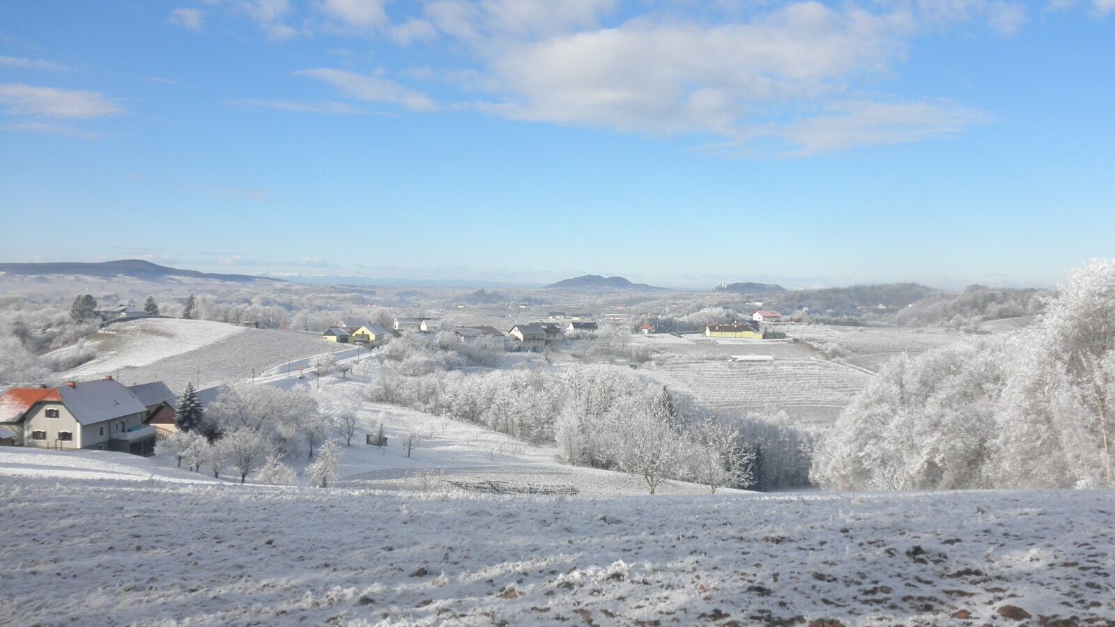 Winter view