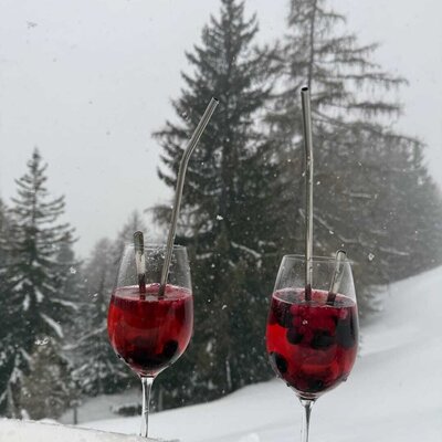 Two refreshing berry drinks set in the snow against the Alm's snowy winter forest backdrop.