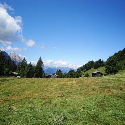 Our alpine meadow has been carefully maintained for centuries