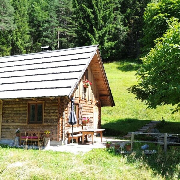 The wooden Bed and Breakfast with a white roof, solar panel, and an outdoor seating area, surrounded by meadows and forest.