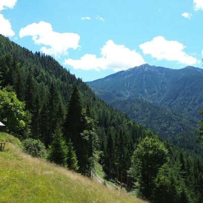 alpine hut with a view of the forested mountains.