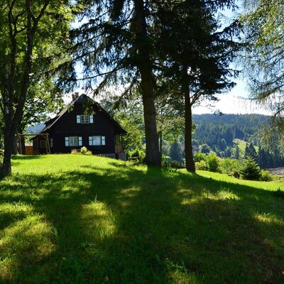 fenced natural meadow